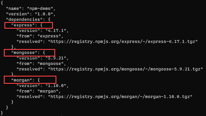 Использование команды npm list с флагом --json